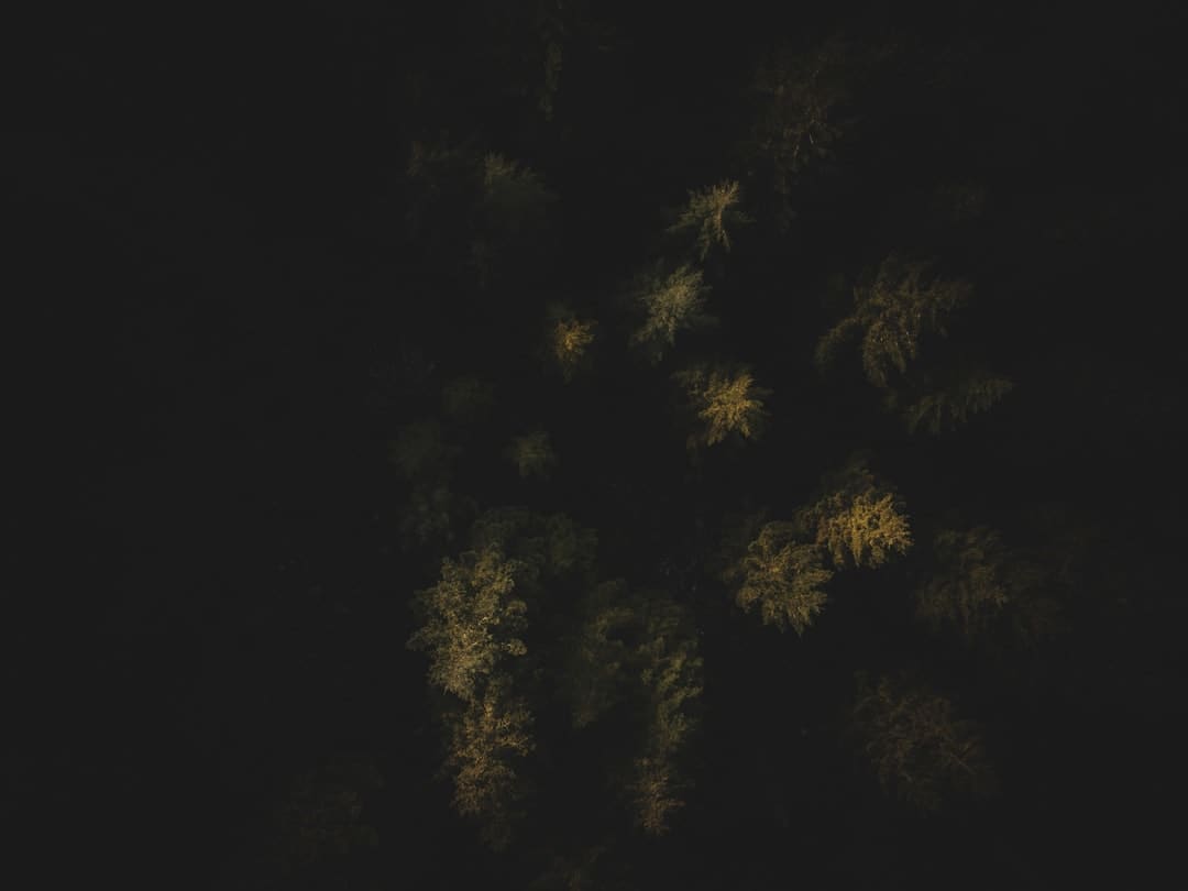 https://j.rednet.cn/images/qr-shike1.png